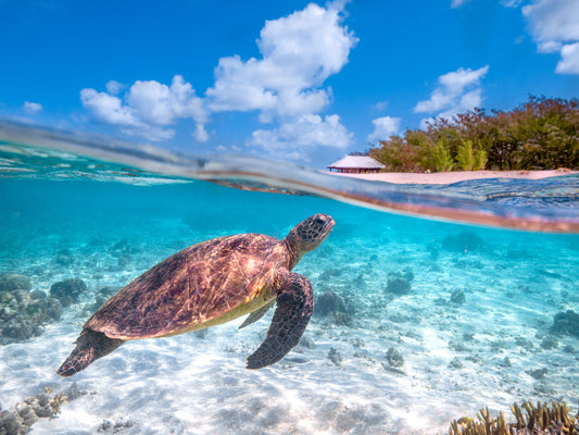 The Most Incredible Southern Great Barrier Reef Islands