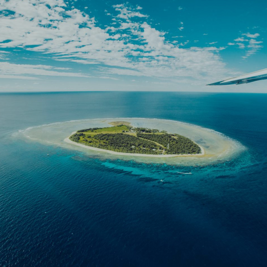 A Turtle Spectacle on Lady Elliot Island