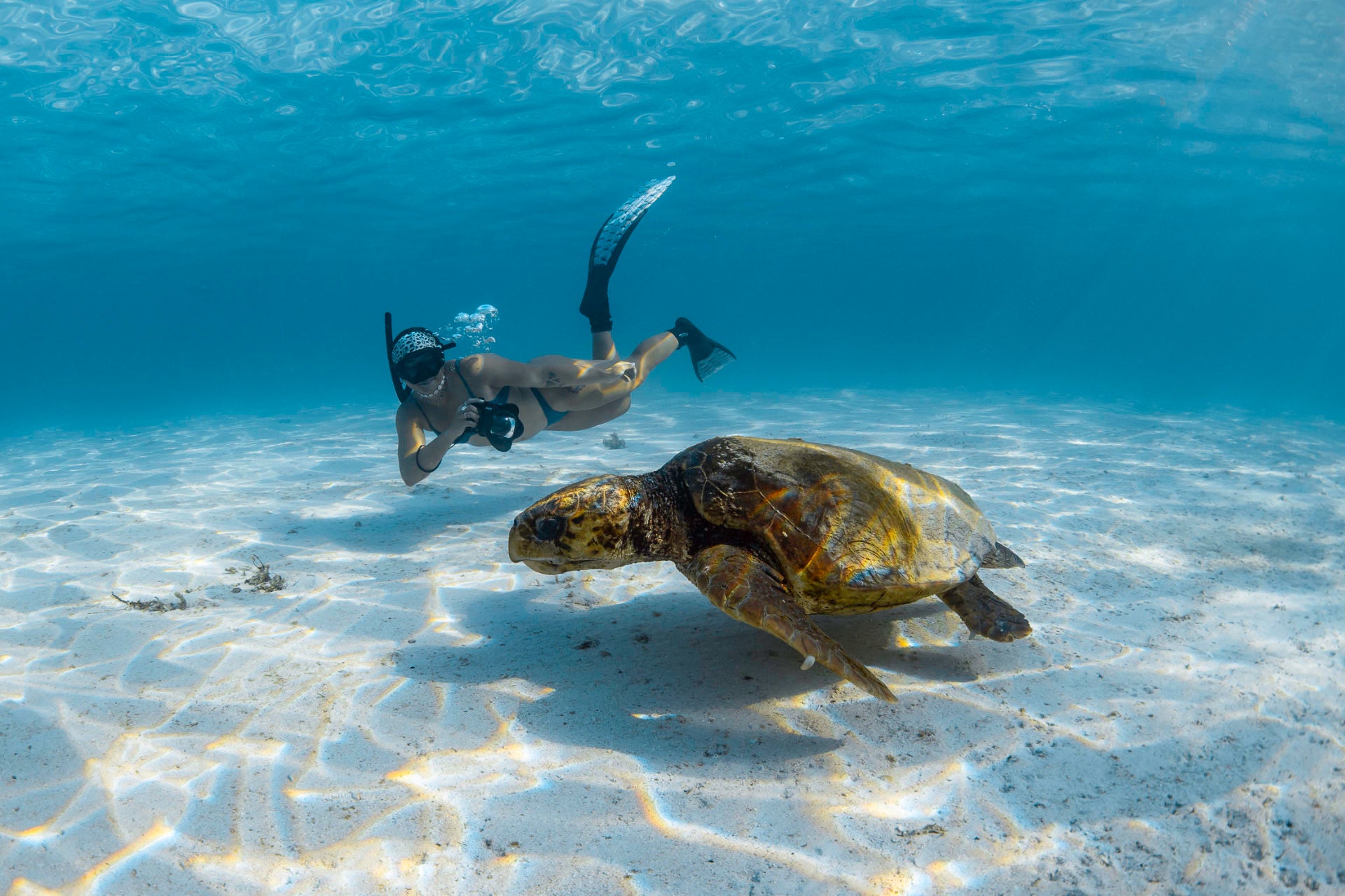 Ningaloo: Intimate Ocean Photography Safari