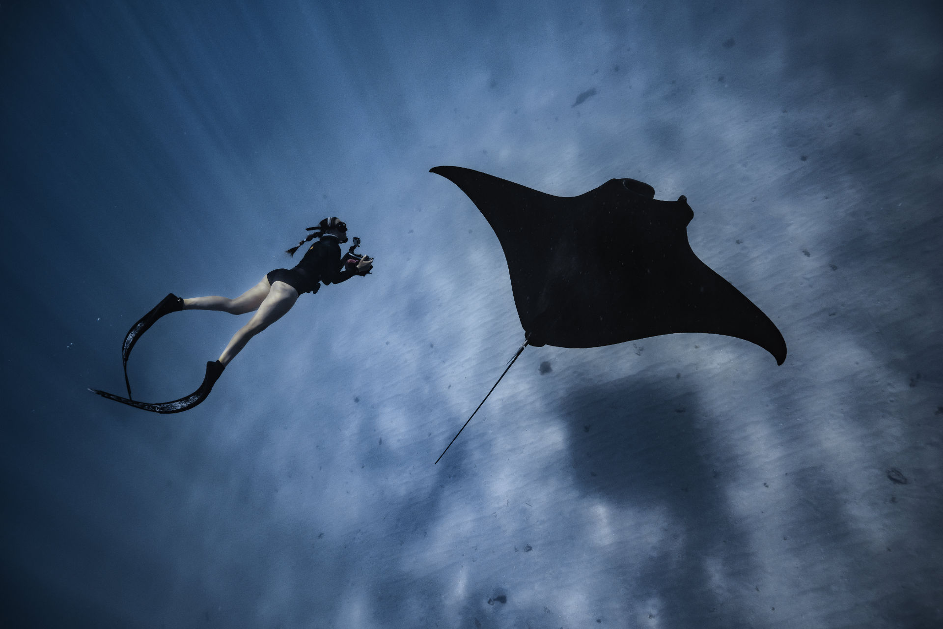 Ningaloo: Intimate Ocean Photography Safari