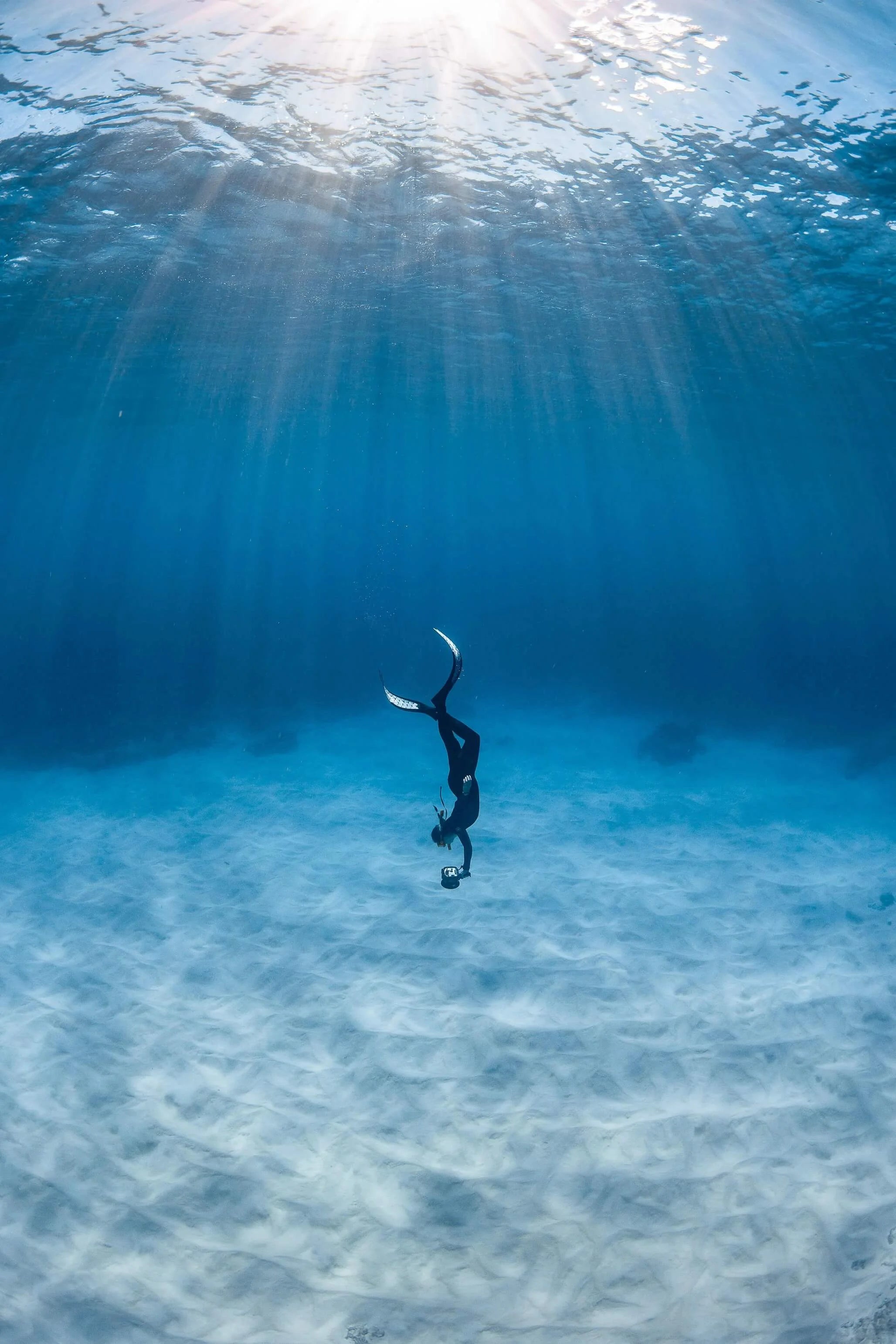 Ningaloo: Intimate Ocean Photography Safari