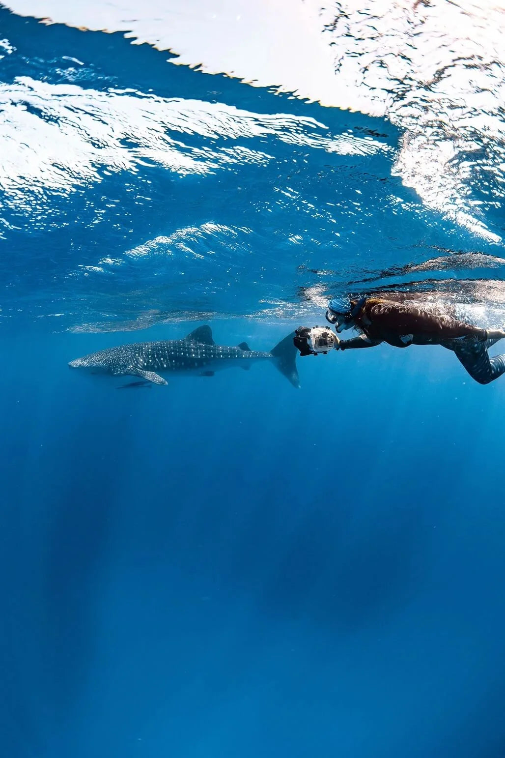 Ningaloo: Intimate Ocean Photography Safari