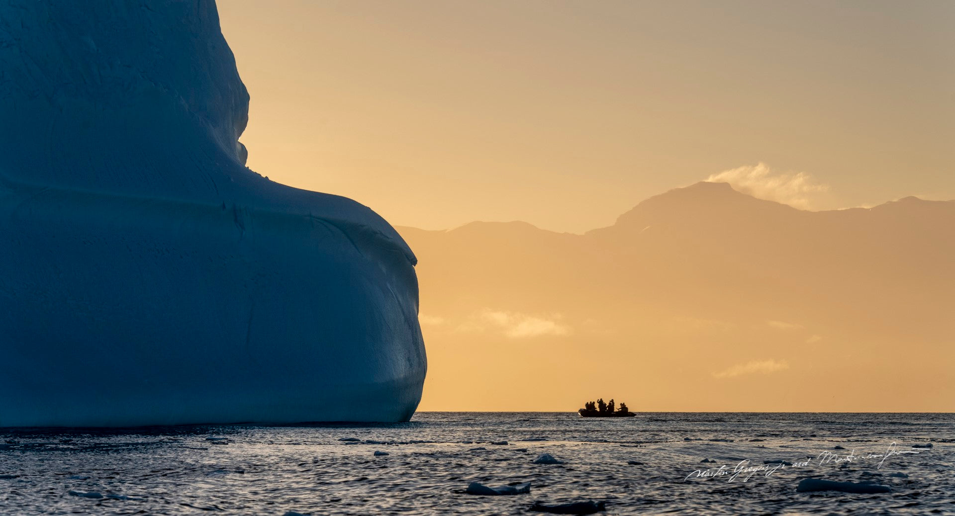 Antarctica: Wildlife of the White Continent