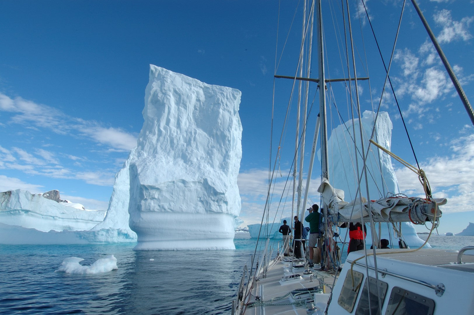 Sailing Antarctica: Orca Seal Hunt