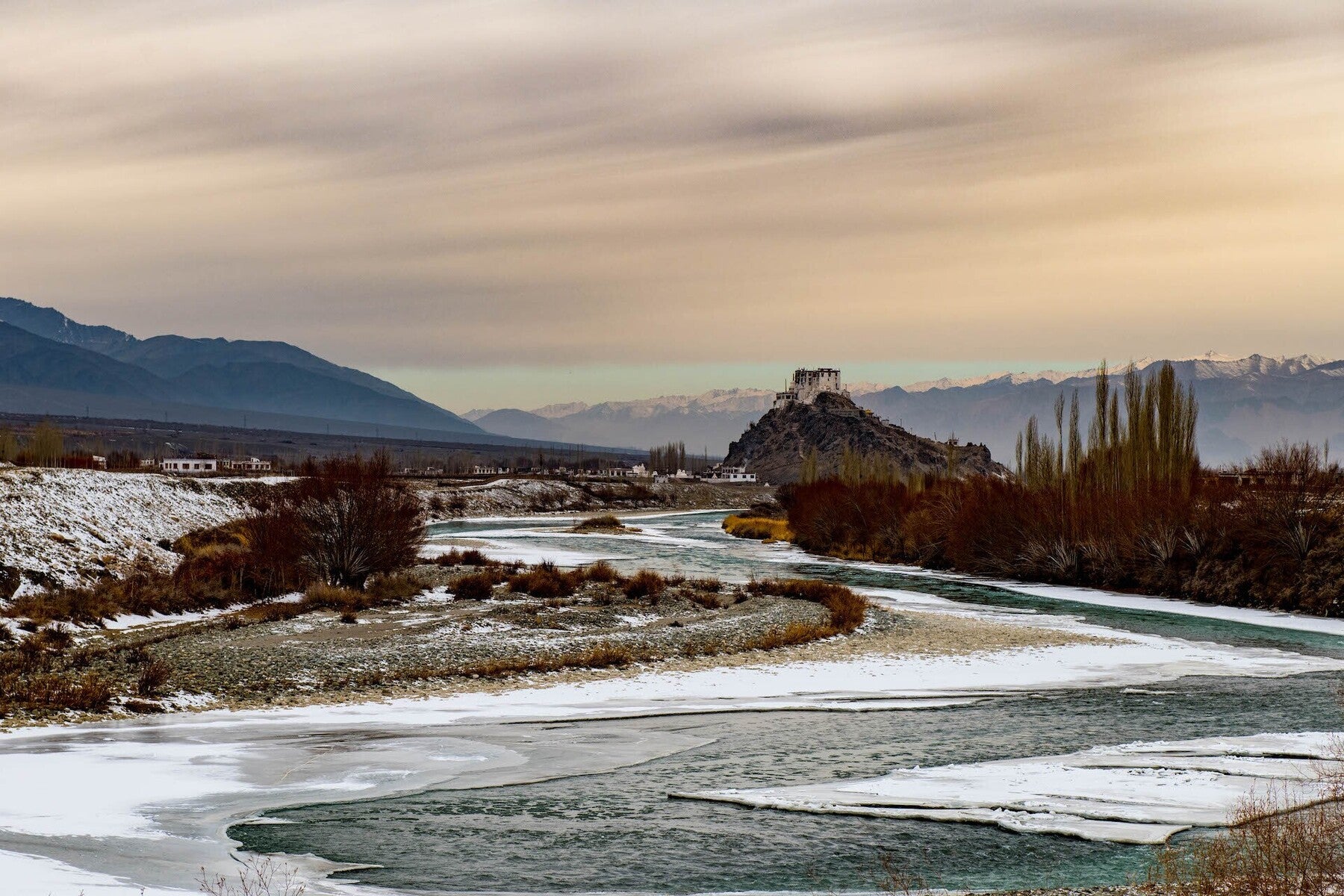 Himalayas: Snow Leopards on the Roof of the World