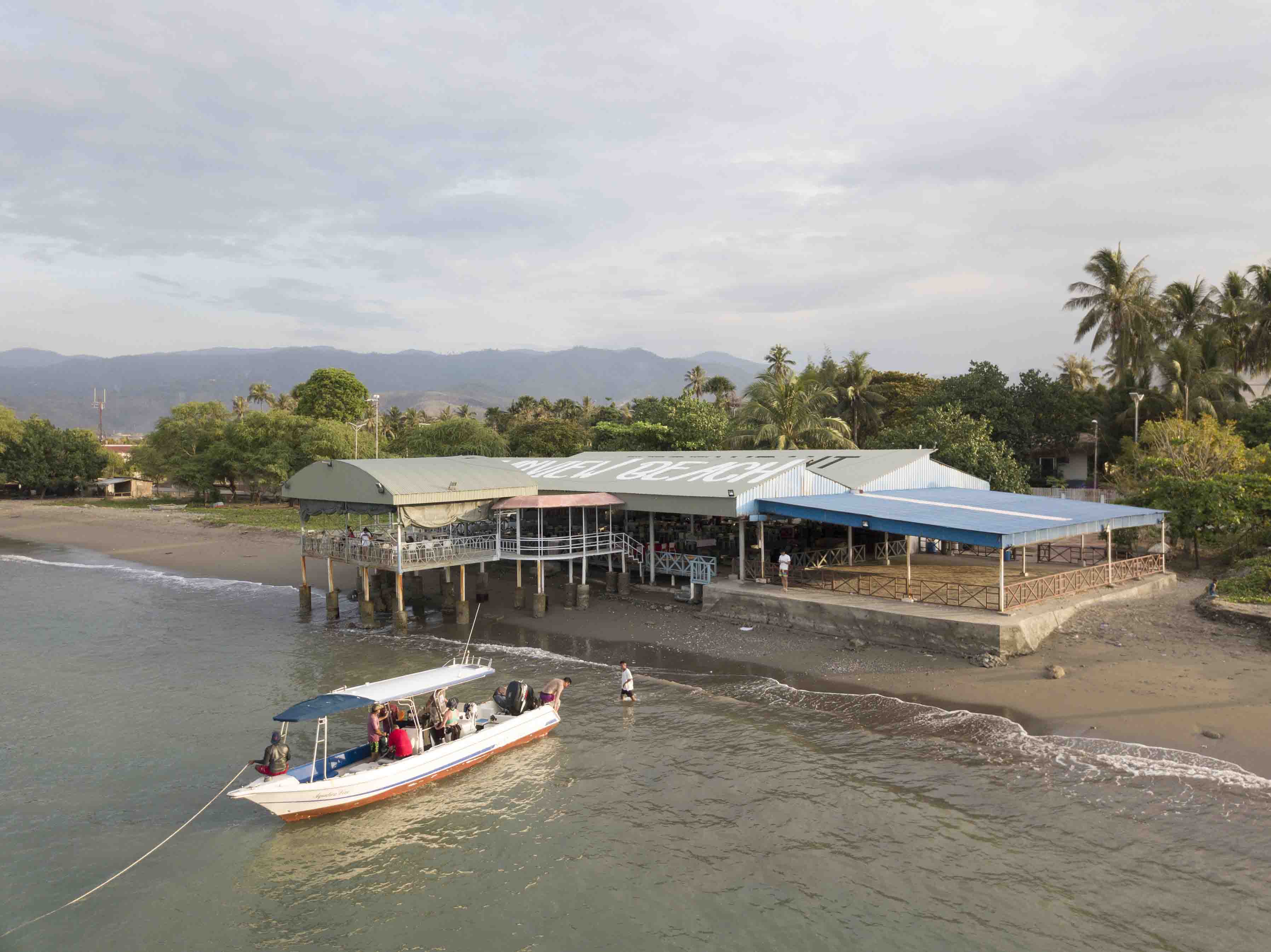 East Timor: Swim with the Mighty Blue Whale