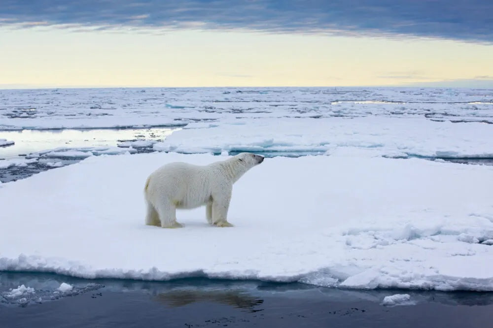 Svalbard