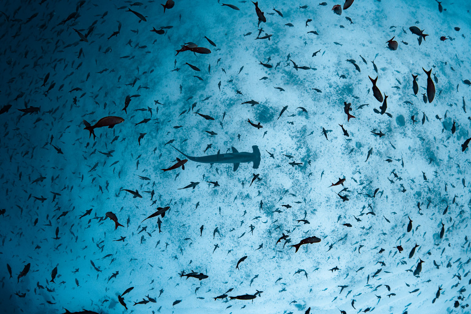 Galapagos: A Land Lost In Time