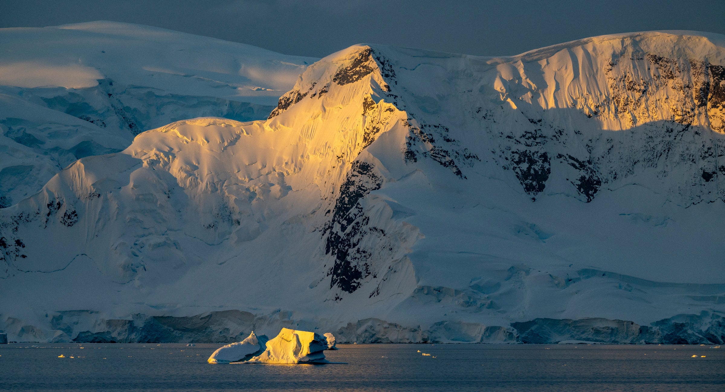 Antarctica: Wildlife of the White Continent